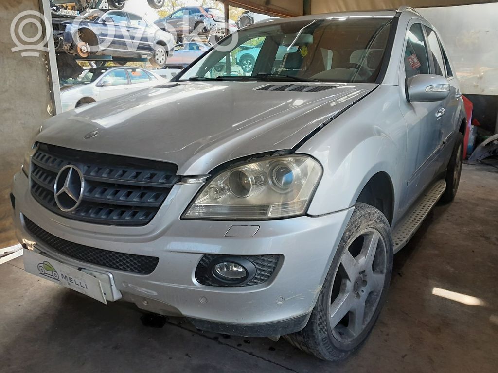 ML W164 ML-class, AMG (W163, W164, W166)  164720100564