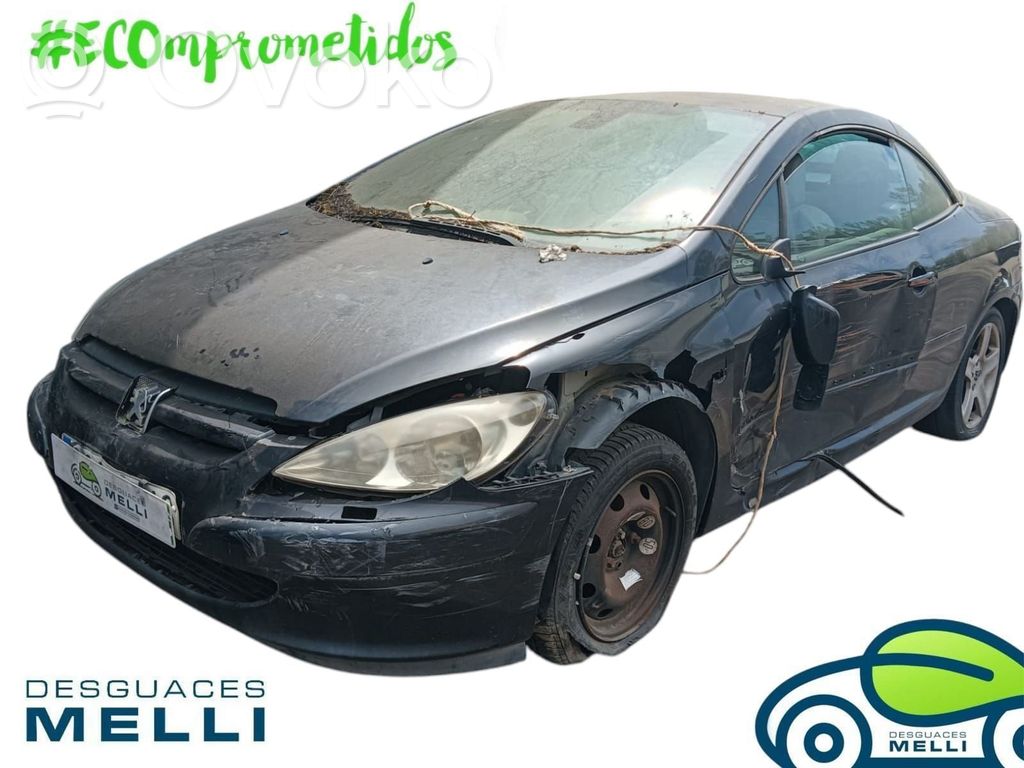 307 CC 307  9657870480