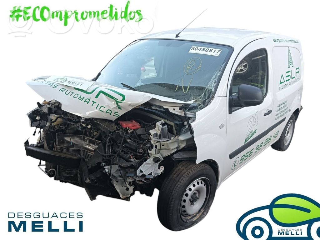 Kangoo II Kangoo  248103763R
