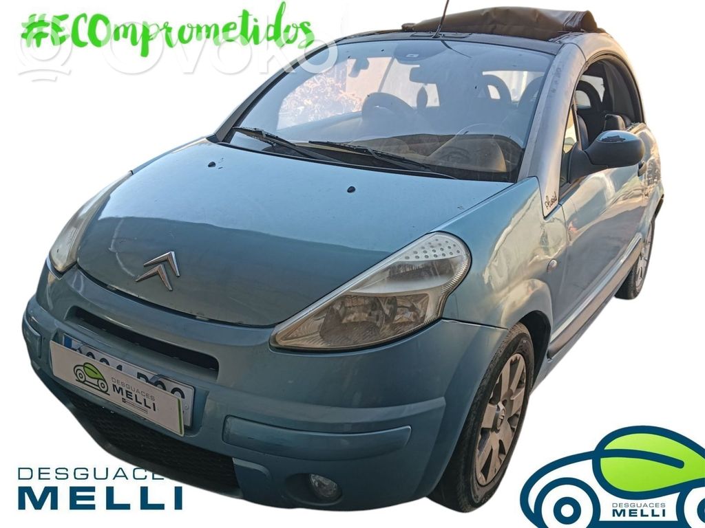 C3 Pluriel C3, Pluriel, Picasso  185526