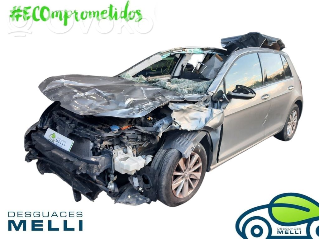 Golf VII Golf  5G0419091