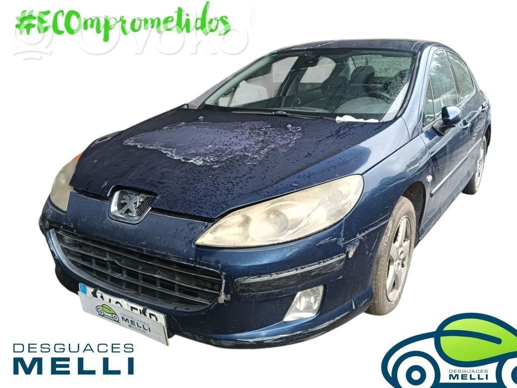 407 407  96573322XF