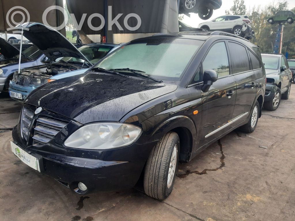 Rodius Rodius/Stavic  8232021031