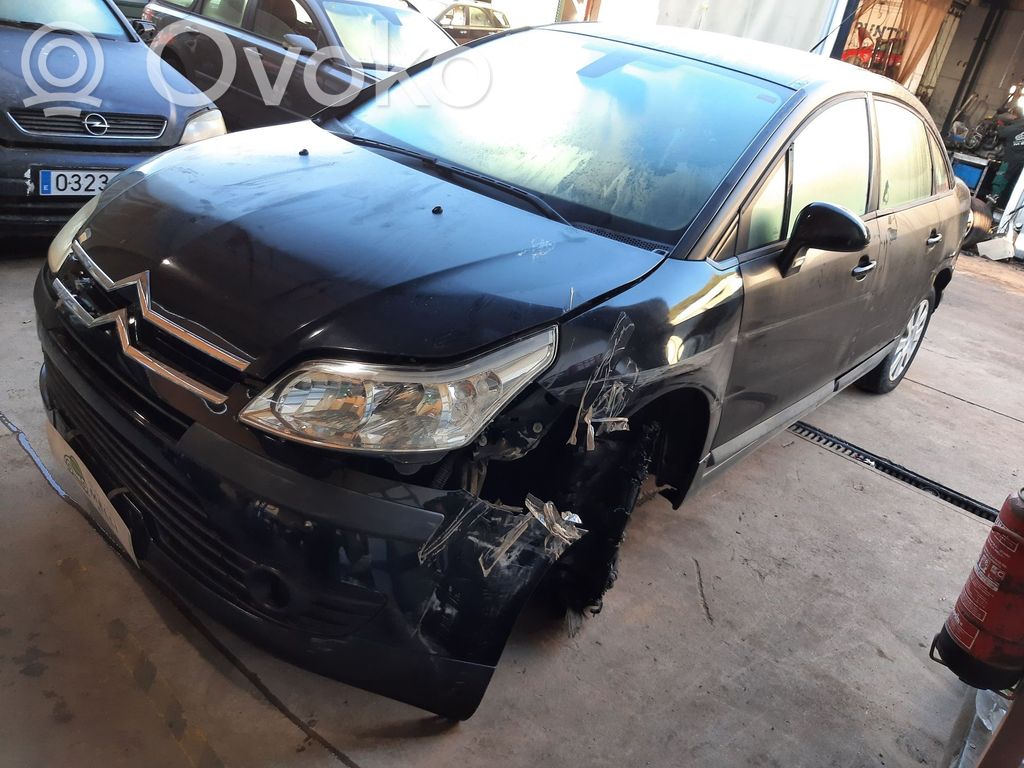 C4 I C4 Picasso, Grand Picasso, Aircross, Cactus  0445110297