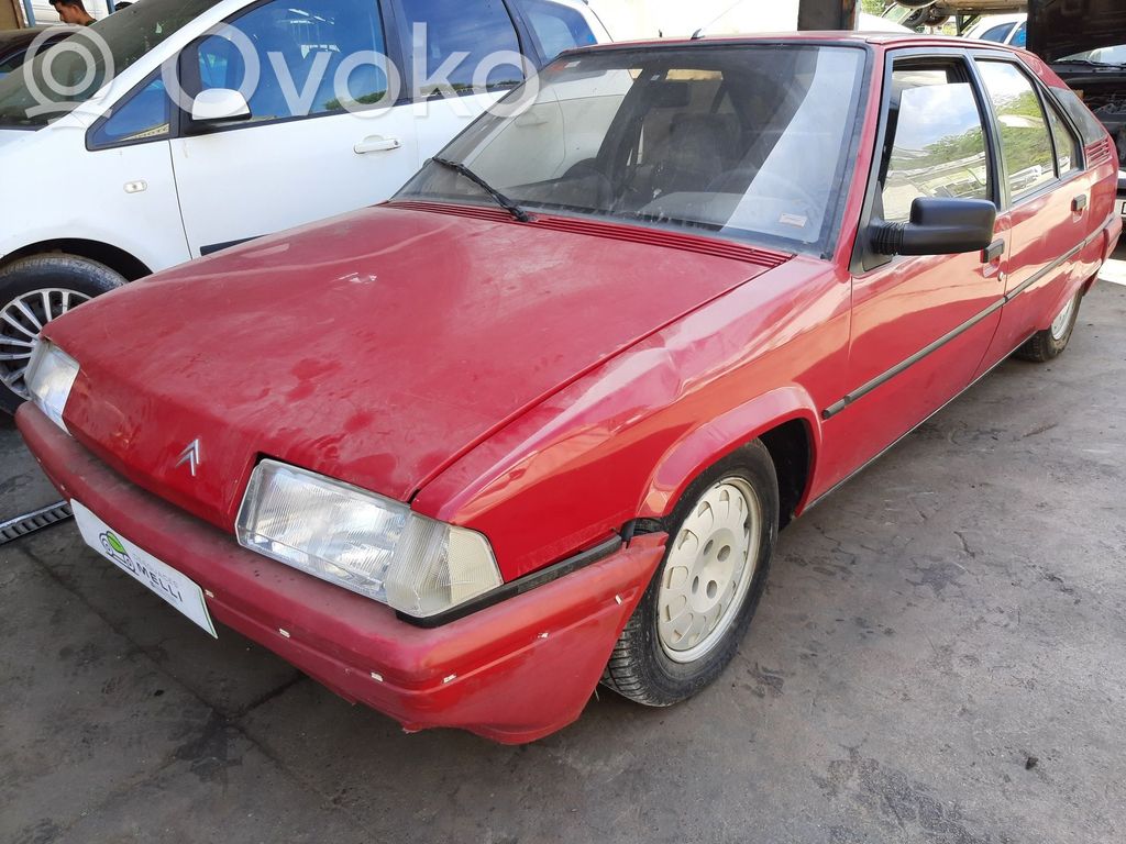 BX BX  95562445
