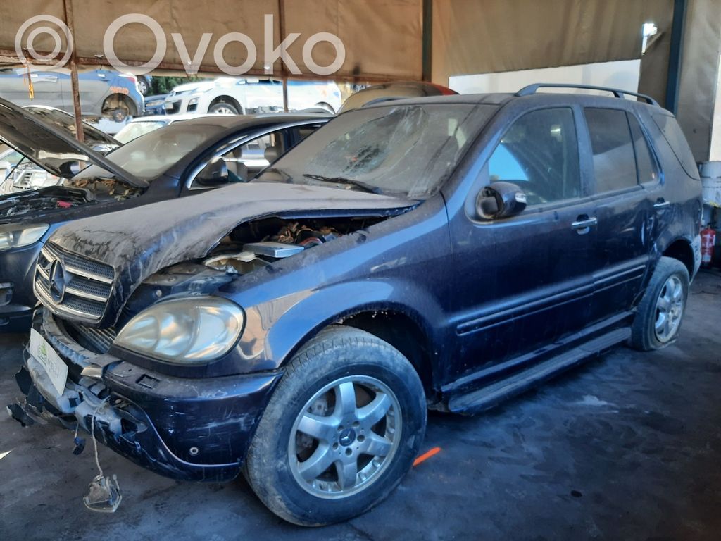ML W163 ML-class, AMG (W163, W164, W166)  1633520501