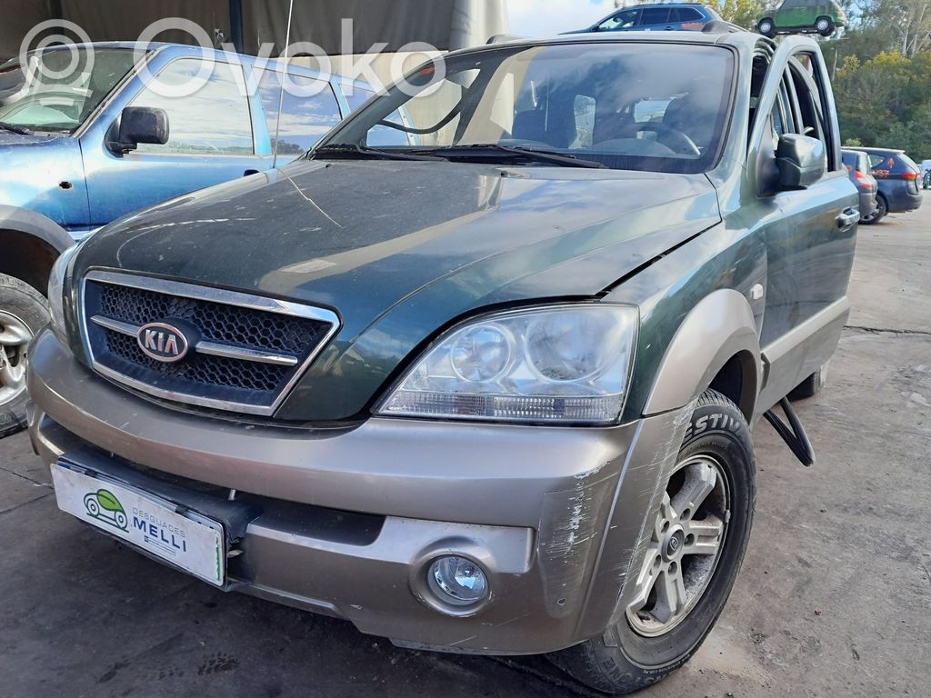 Sorento Sorento  495003E110