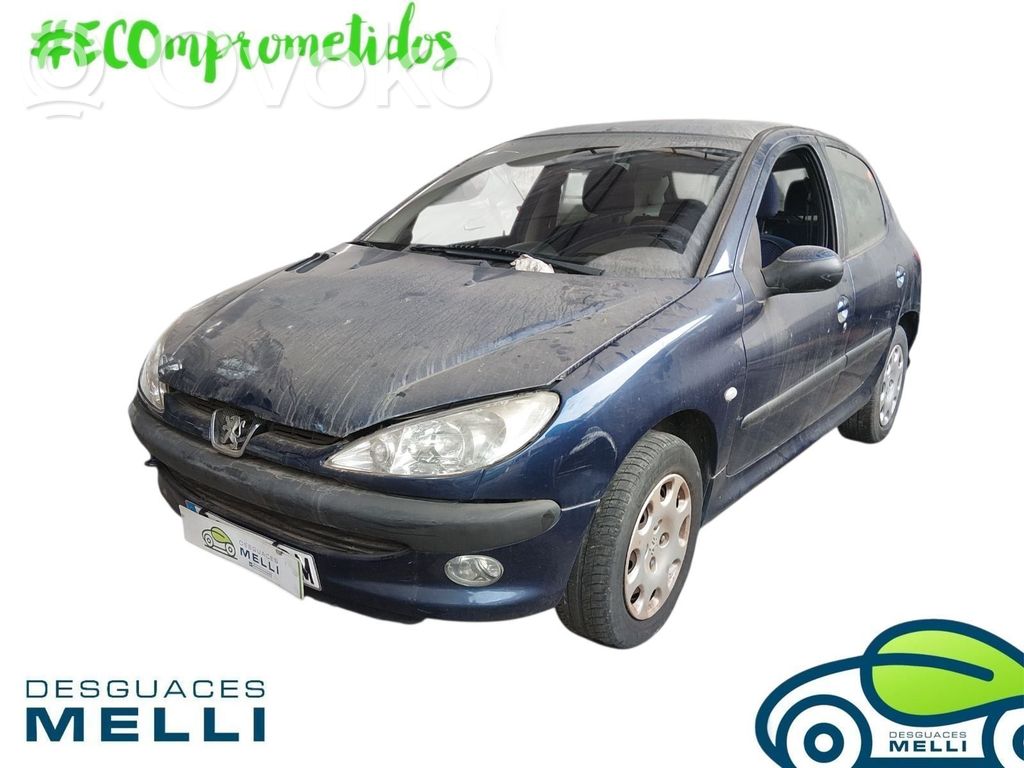 206 206, 206+  9650347980