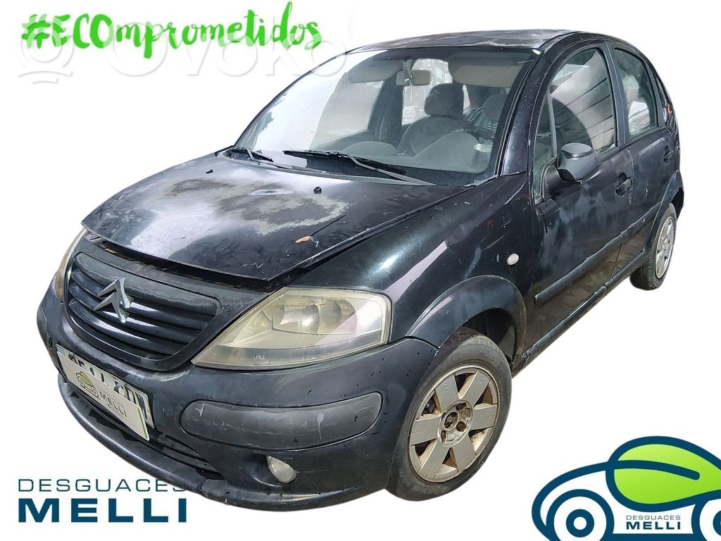 C3 Pluriel C3, Pluriel, Picasso  8143GA