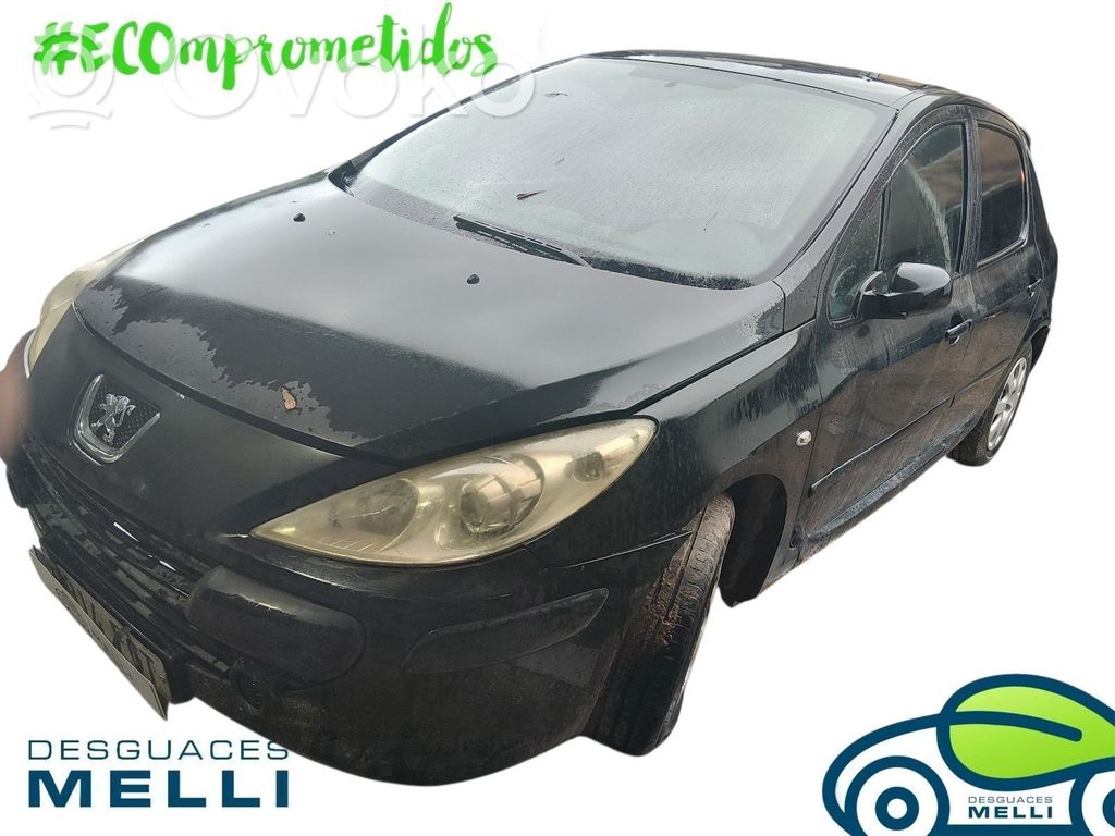 307 307  9648445180