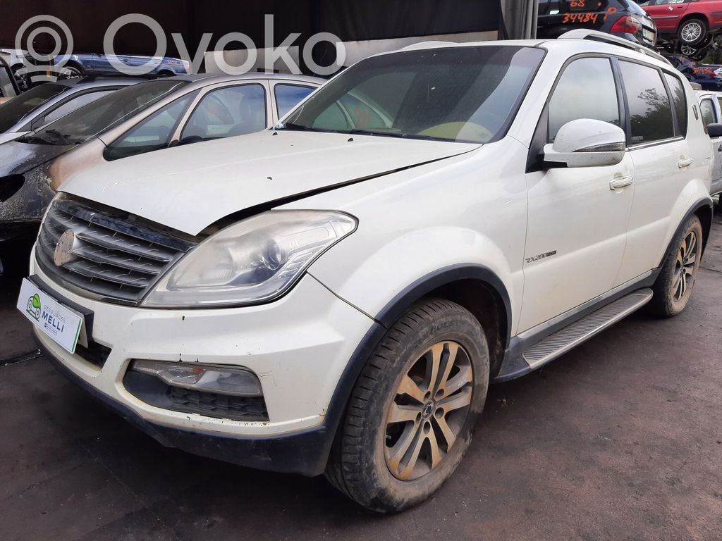 Rexton Rexton  6640101013