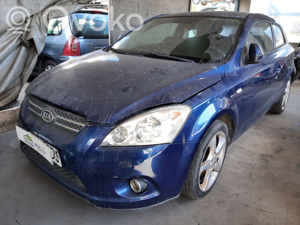 Ceed Ceed, Ceed SW, Pro Ceed  517152H100