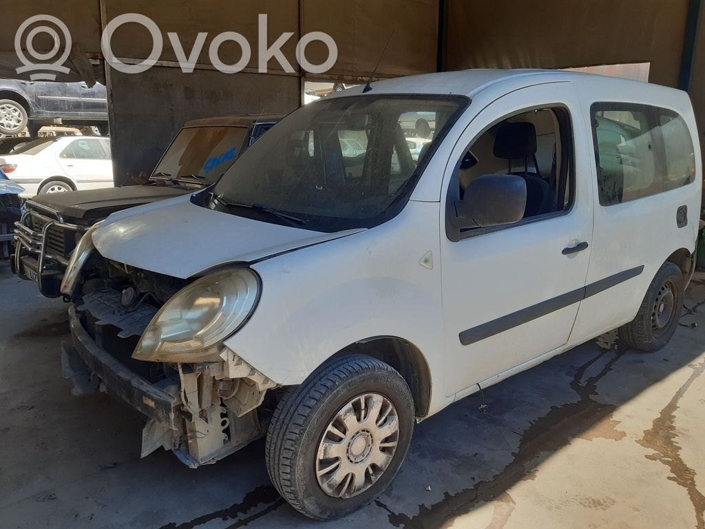 Kangoo II Kangoo  490017419R
