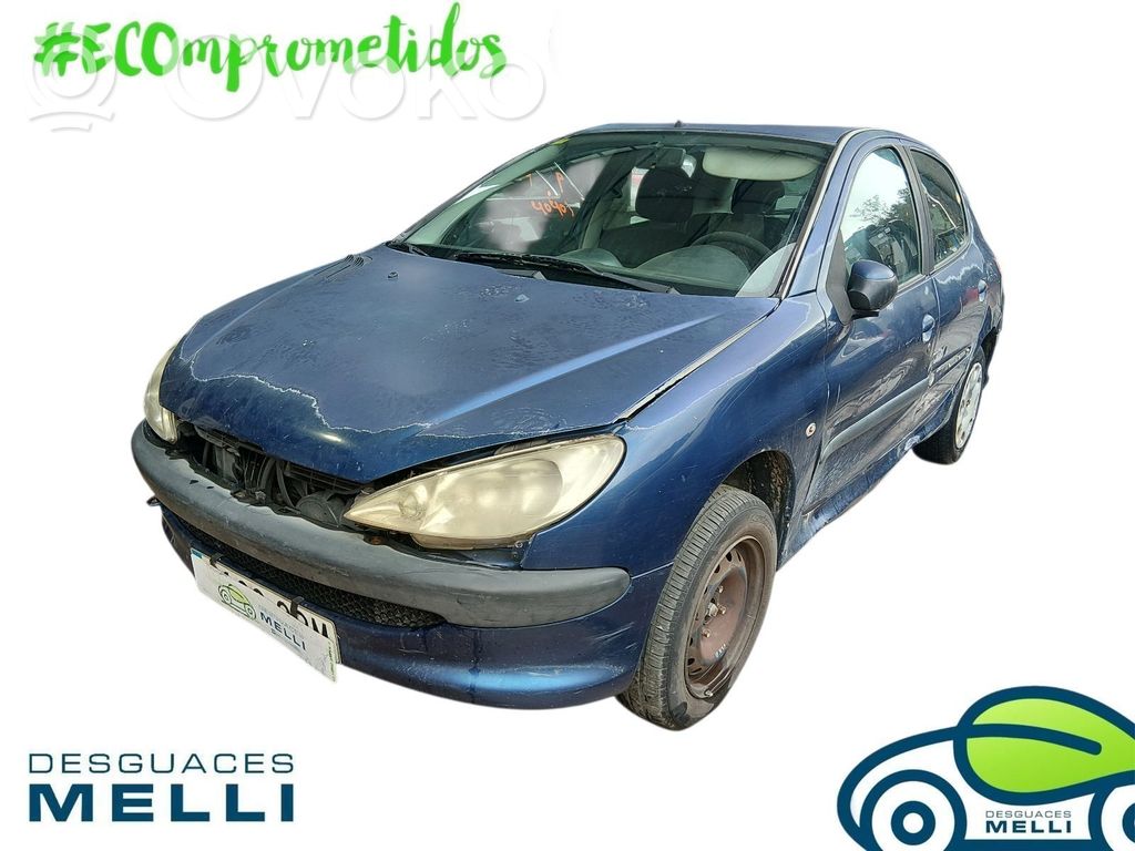 206 206, 206+  9653202580