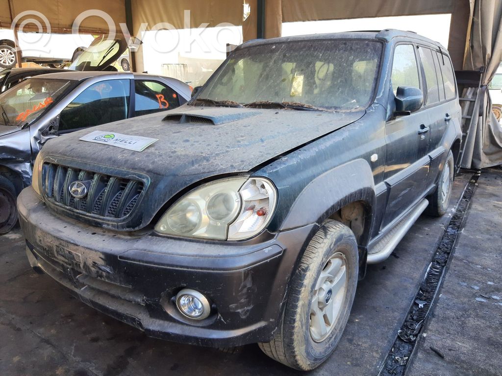 Terracan Terracan  56880H1001