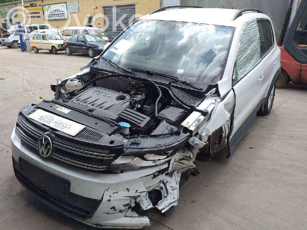 Tiguan Tiguan  0281013693