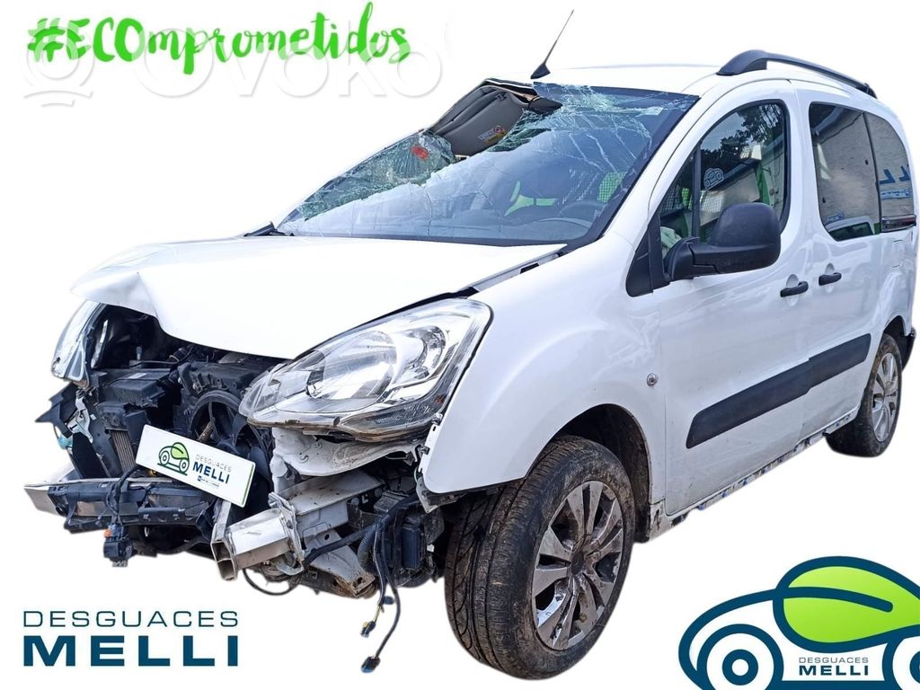 Berlingo Berlingo  9805203480