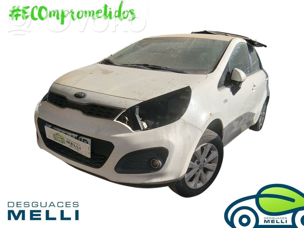 Rio Rio  863511W210