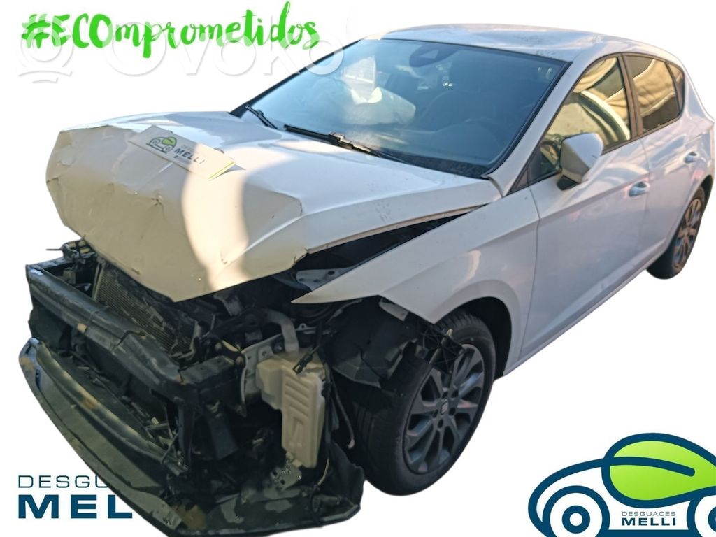 Leon (5F) Leon  5G0959855