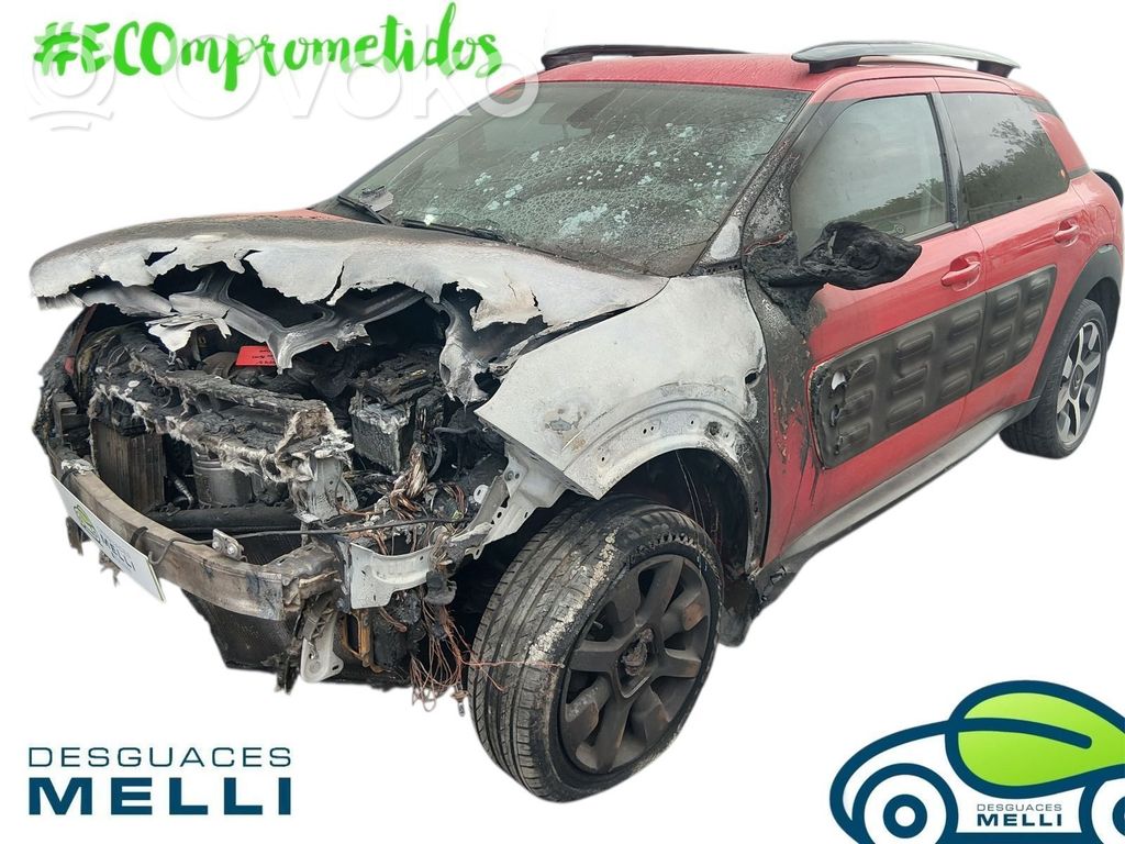 C4 Cactus C4 Picasso, Grand Picasso, Aircross, Cactus  0445110566