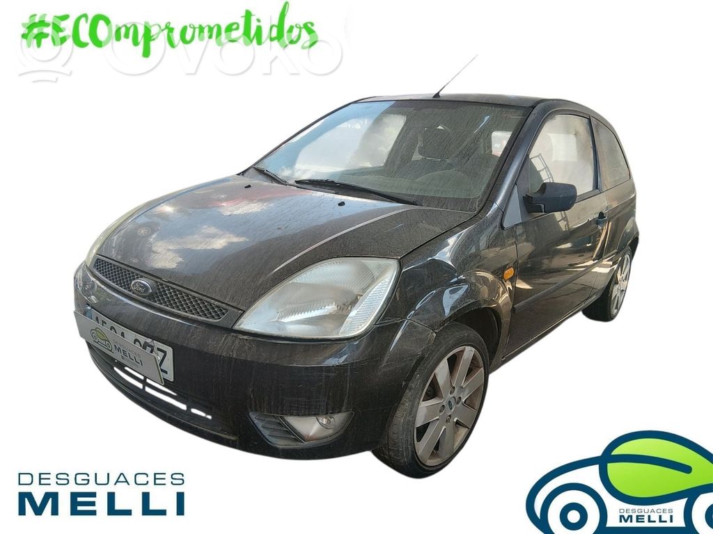 Fiesta Fiesta  1692539