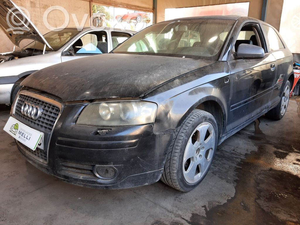 A3 S3 A3 Sportback 8P A3, S3  038131501AN