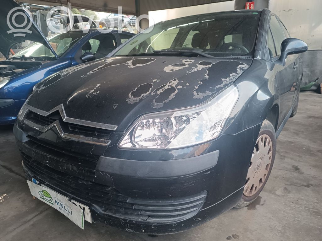 C4 I C4 Picasso, Grand Picasso, Aircross, Cactus  9639662180