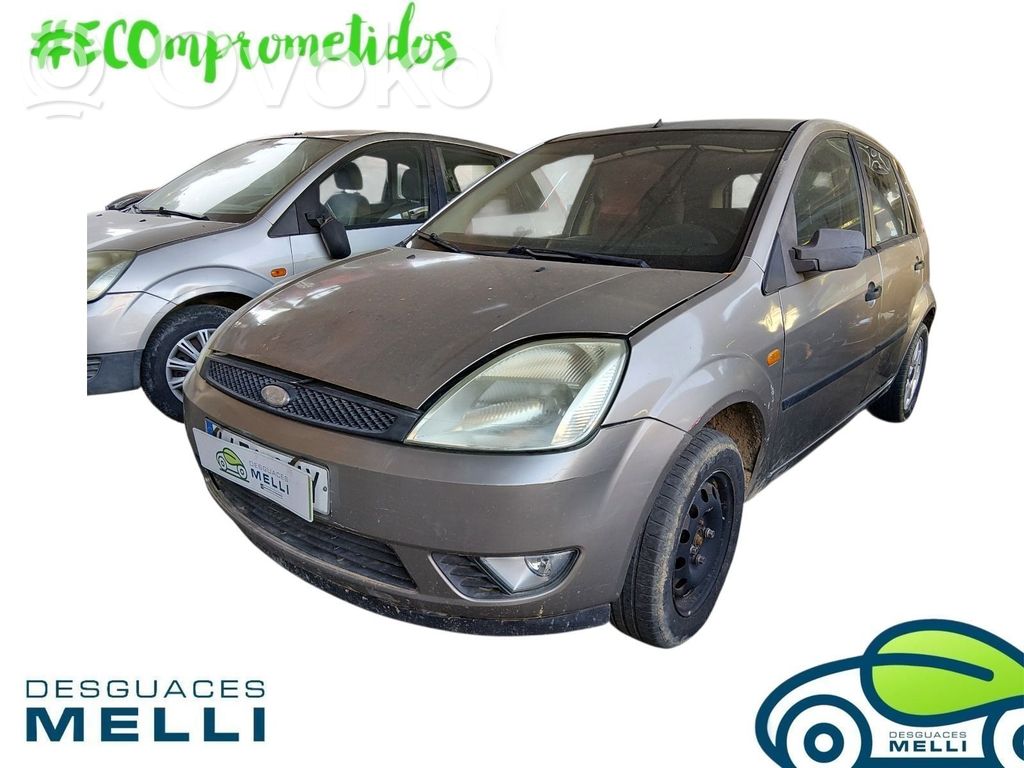 Fiesta Fiesta  1327469