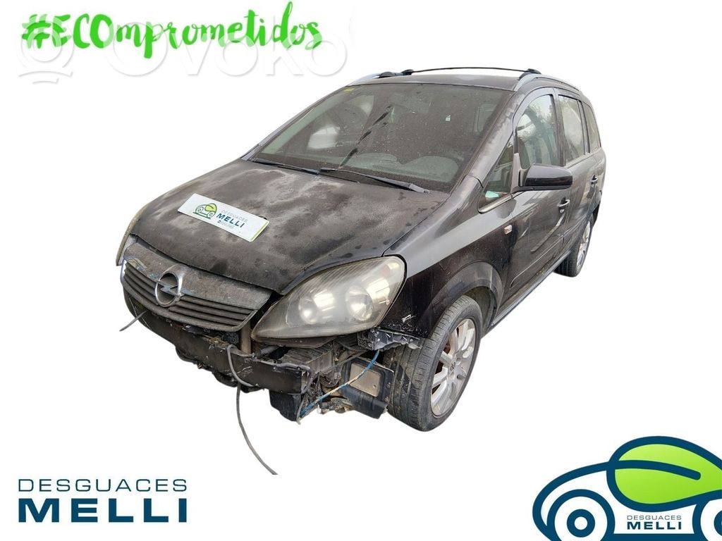 Zafira B Zafira  24462250