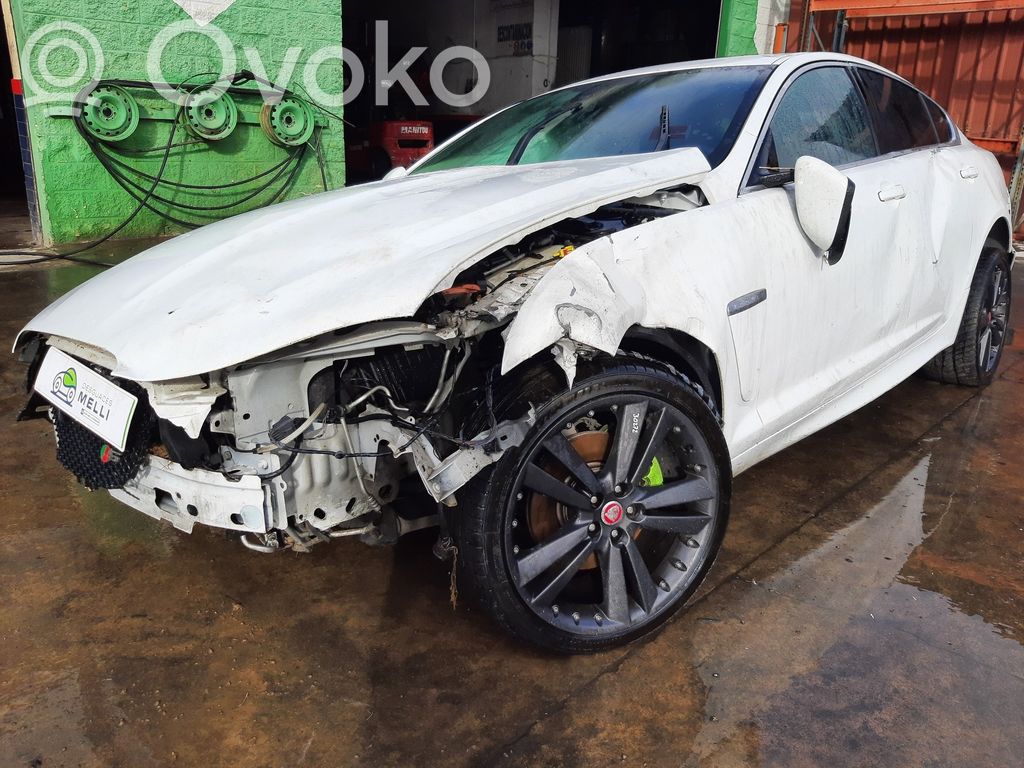 XF X250 XF  2R836465CA