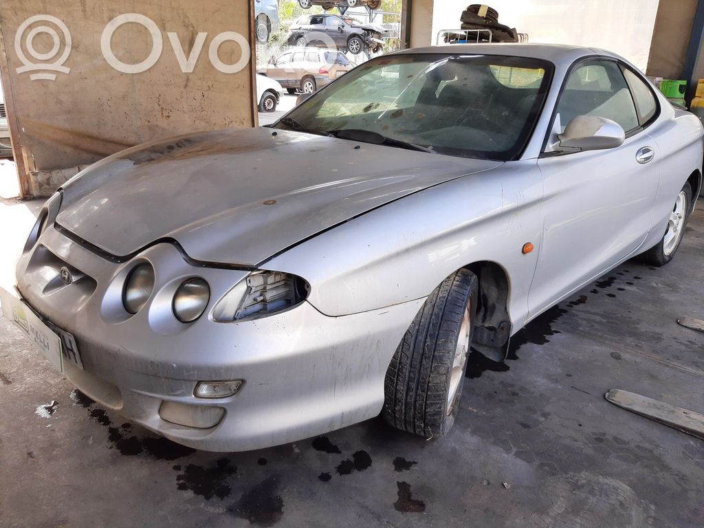 Coupe Coupe  2523129000
