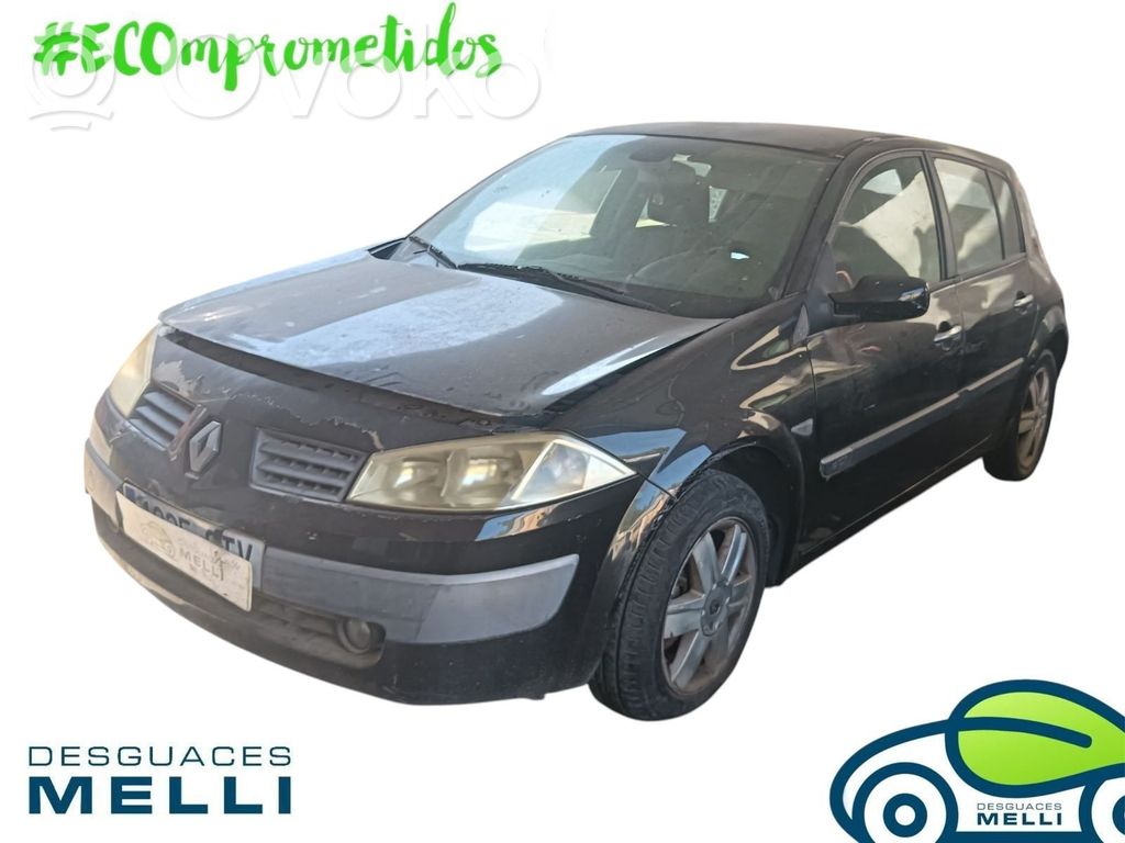 Megane II Megane  8200364015