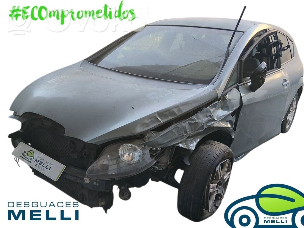 Leon (1P) Leon  331324