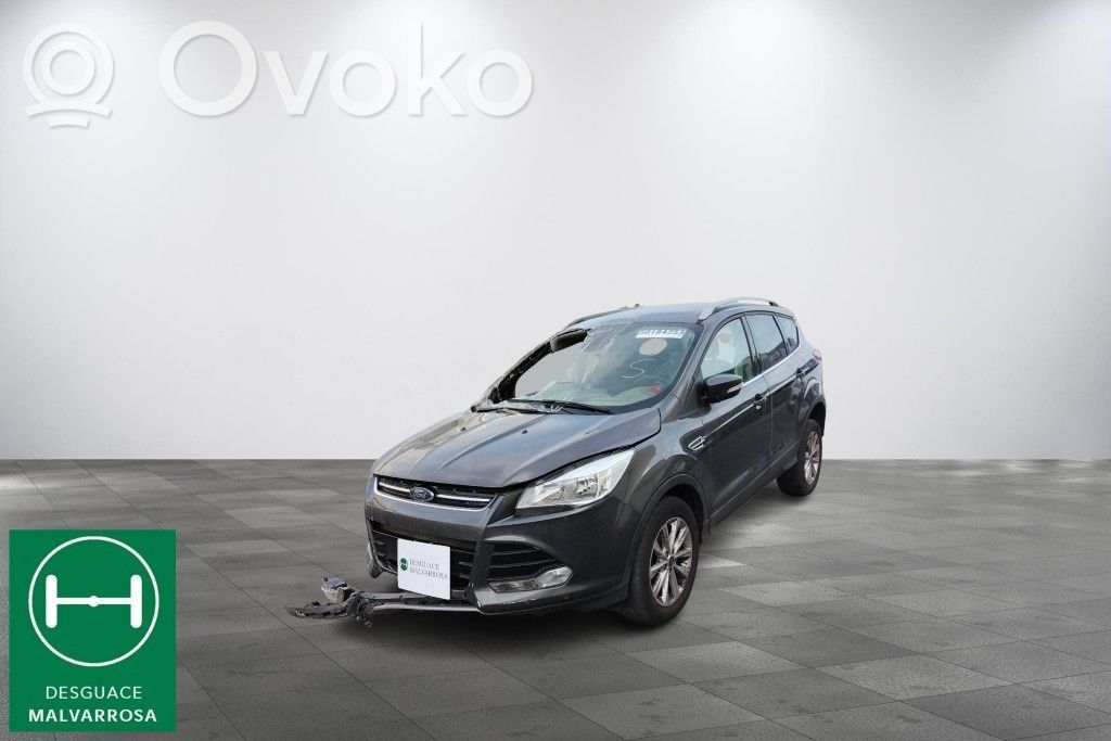 Kuga II Kuga