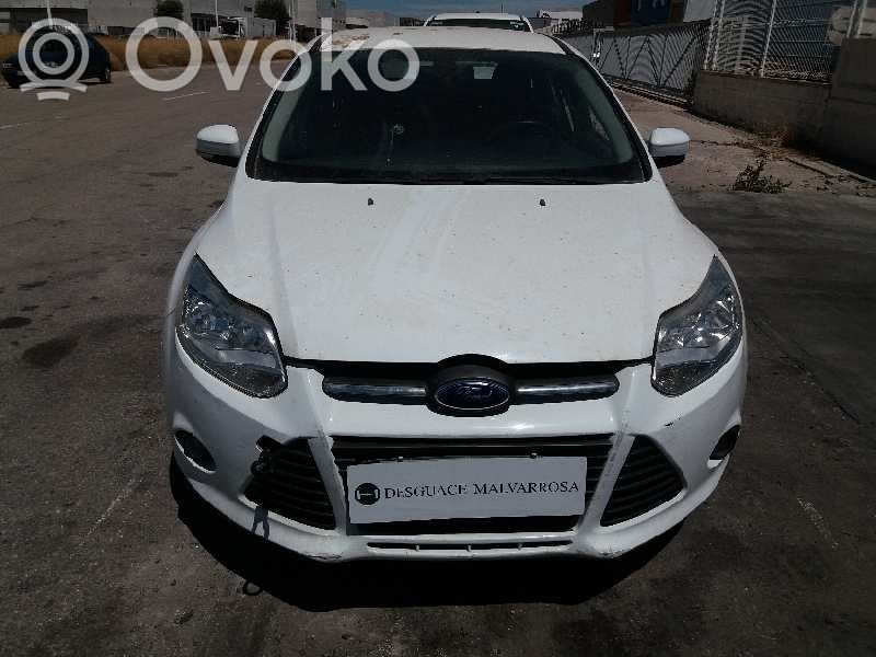 Focus Focus  1827902