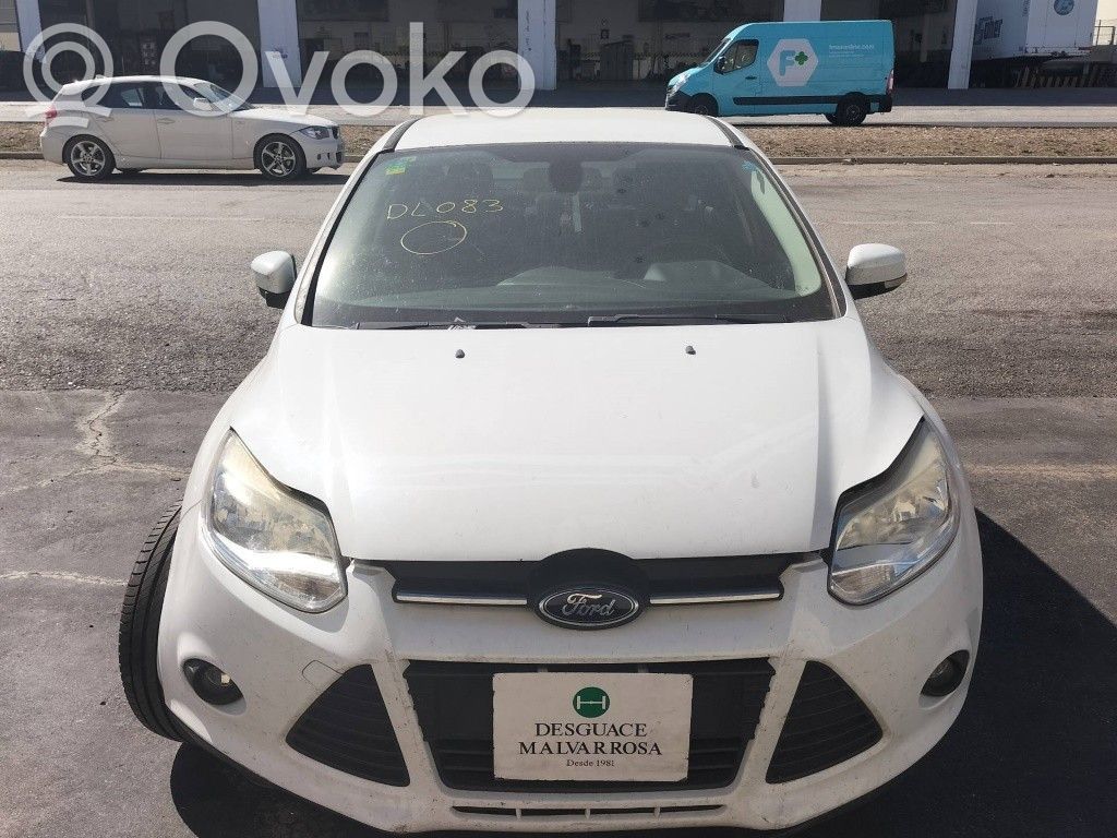 Focus Focus  1787154