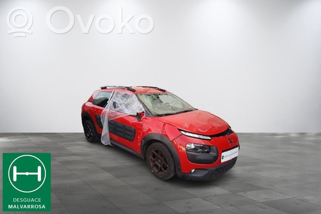 C4 Cactus C4 Picasso, Grand Picasso, Aircross, Cactus  9818677980