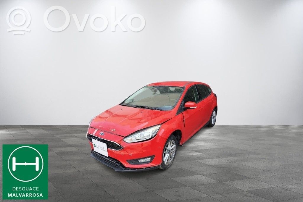 Focus Focus  1703145