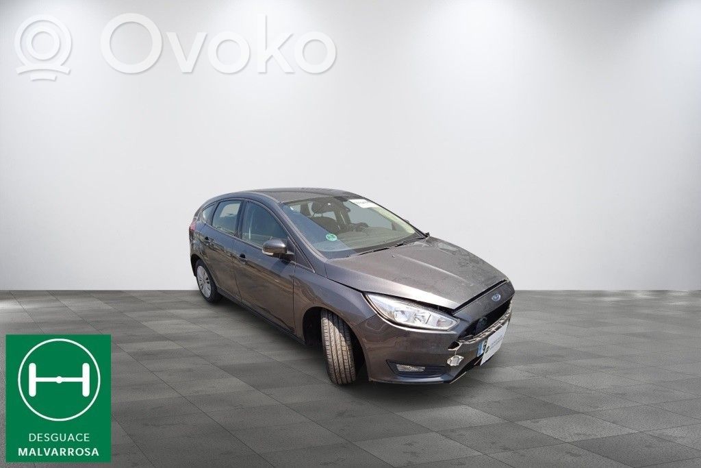 Focus Focus  1755222