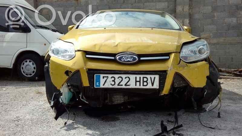Focus Focus  1894049