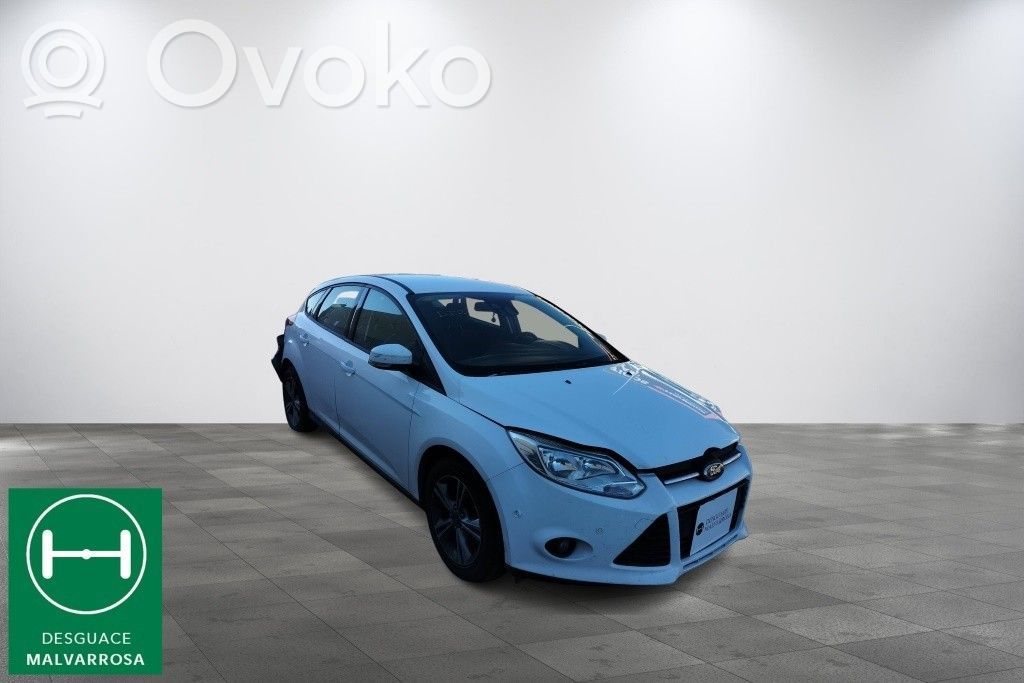 Focus Focus  2048031