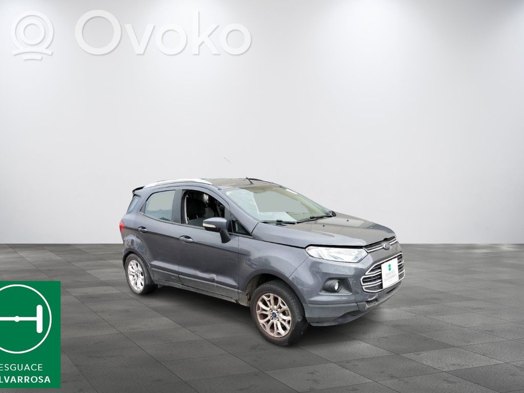 Ecosport Ecosport  2013451