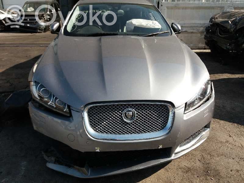 XF X250 XF  C2P20114