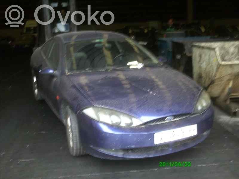 Cougar Cougar  1122591