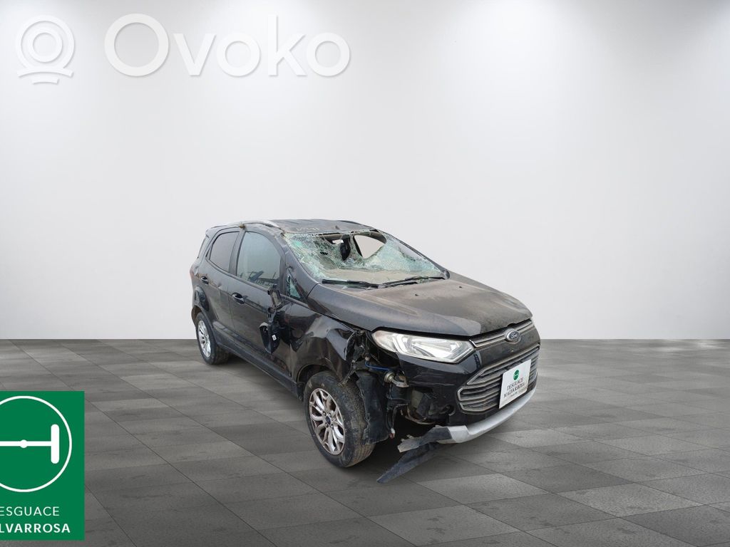 Ecosport Ecosport  2013029