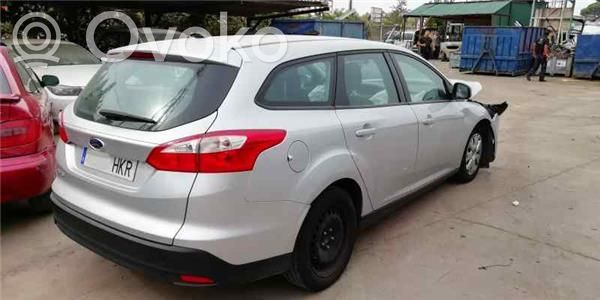Focus Focus  1687313