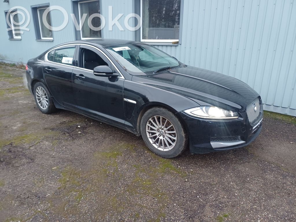 XF X250 XF  2R8A3F818AE