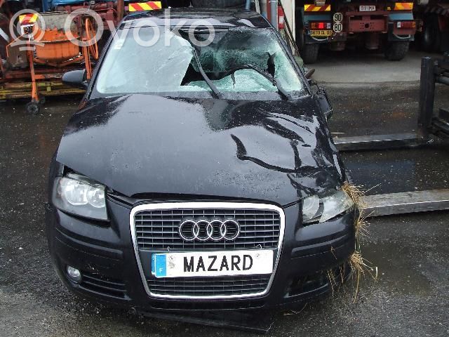 A3 S3 A3 Sportback 8P A3, S3  8P0615124A