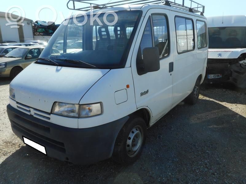 Boxer Boxer  9136A7