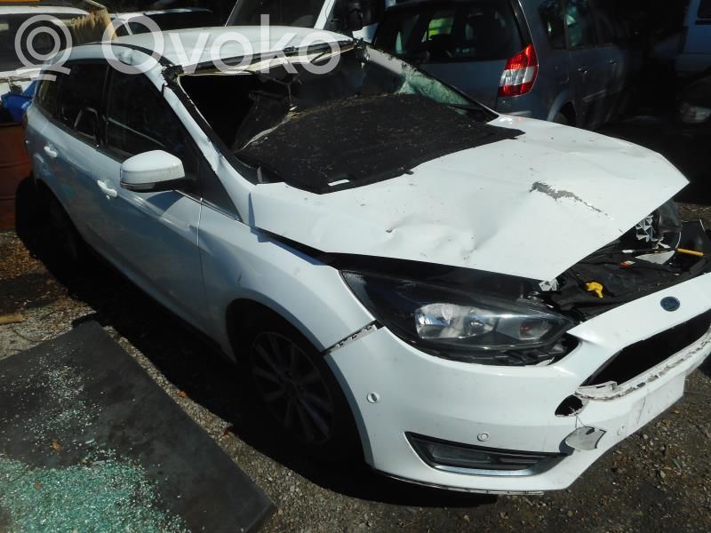 Focus Focus  2350522